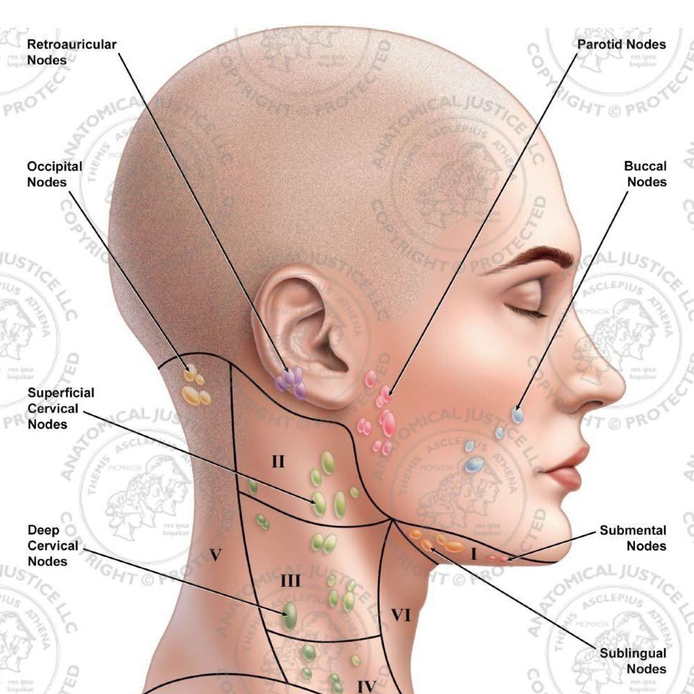 Lymphatic Drainage Yoga by Angeline Ong (90 min) at 8am Sun on 28 Apr 2024