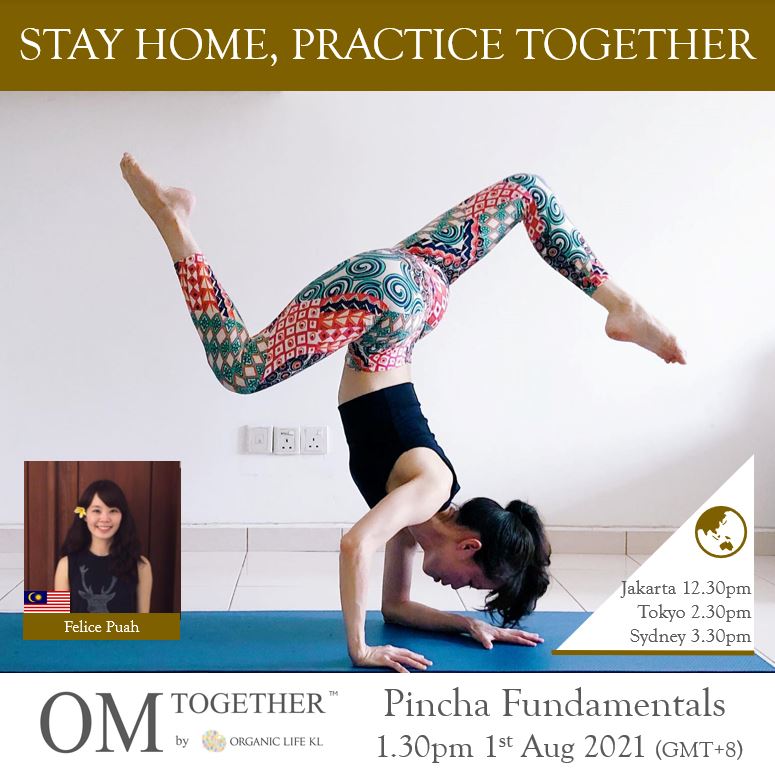 Pincha Fundamentals (75min) at 1.30pm Sun 1 Aug 2021 -completed