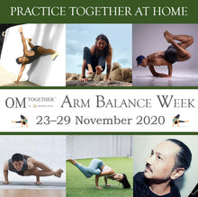 Load image into Gallery viewer, [Zoom] Injury, Prevention and Preparation  For Arm Balance by Jai Kumar (75min) at 6.30pm Mon on 23 Nov 2020 -completed
