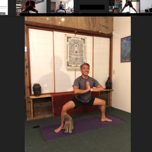 [Zoom] Modern Yoga Movement with Miles Maeda (50 min) at 9am Fri on 6 Nov 2020 - completed